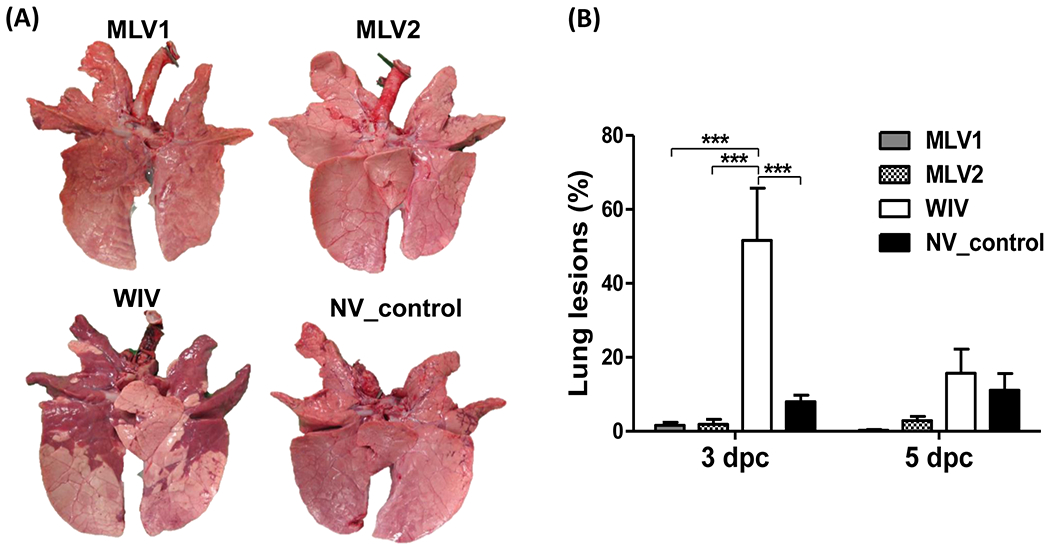 Fig 2.