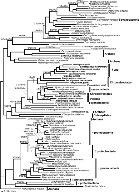 FIG. 7.