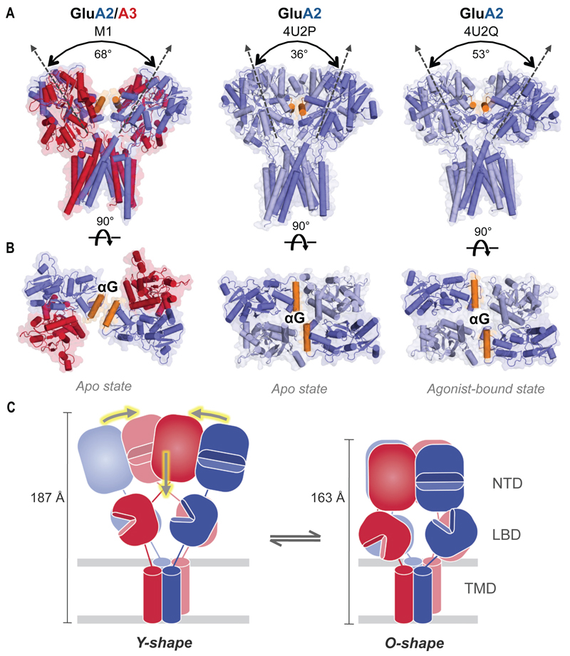 Fig. 6.