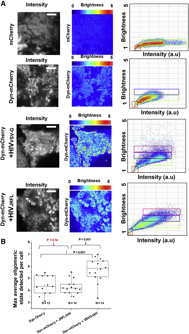 Figure 3