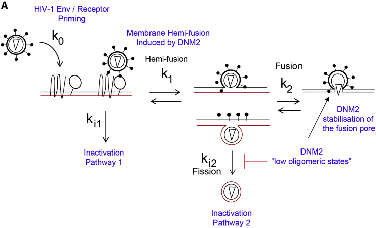 Figure 6