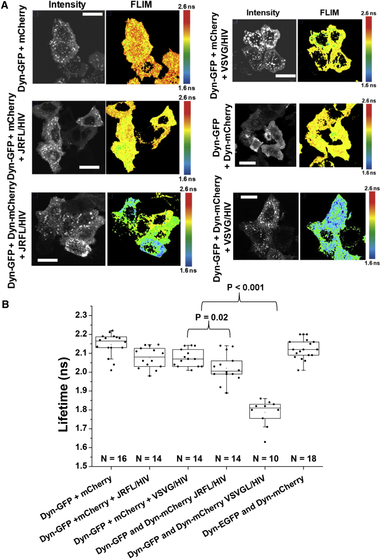 Figure 2