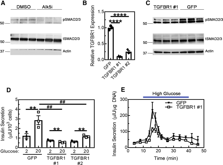 Figure 6