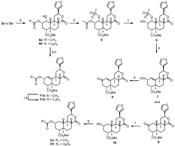 Scheme 1