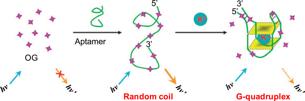 Fig. (5)