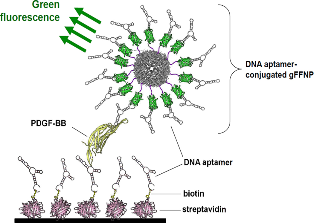 Fig. (2)