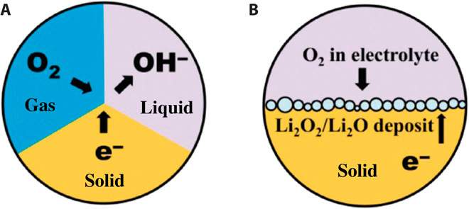 Fig. 8