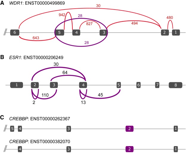 Figure 3.