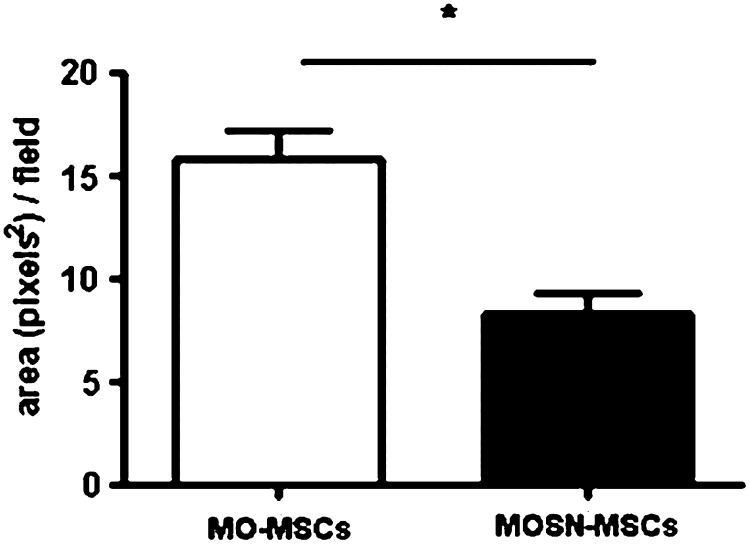 FIG. 10.