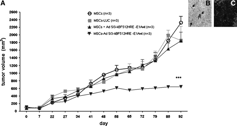 FIG. 12.