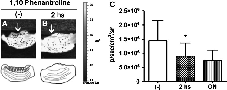 FIG. 8.