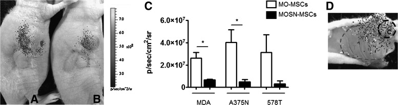 FIG. 7.