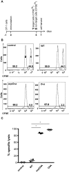 FIG 2