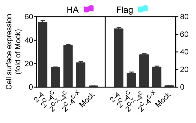 Figure 3—figure supplement 1.