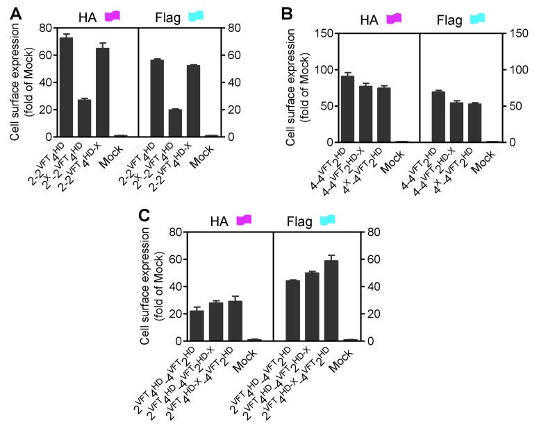 Figure 2—figure supplement 3.