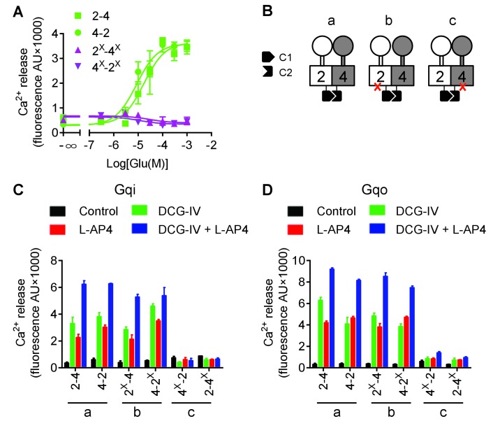 Figure 1—figure supplement 3.