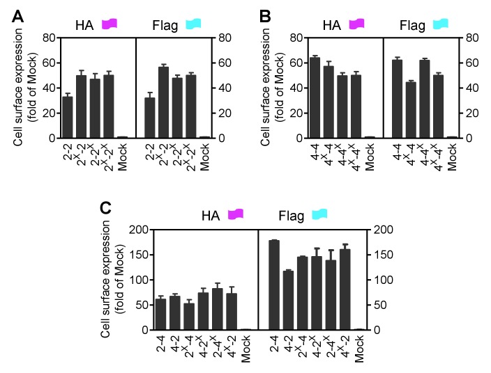 Figure 1—figure supplement 2.