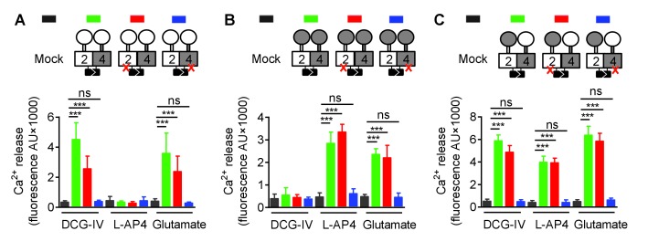 Figure 2—figure supplement 1.