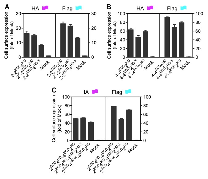 Figure 2—figure supplement 2.