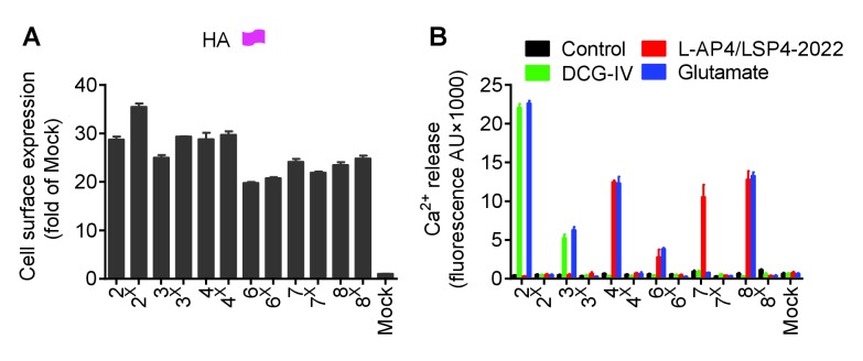 Figure 6—figure supplement 1.