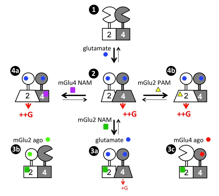 Figure 7.