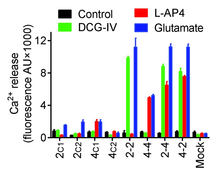 Figure 1—figure supplement 1.