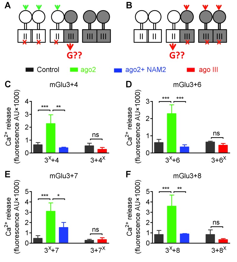 Figure 6—figure supplement 2.