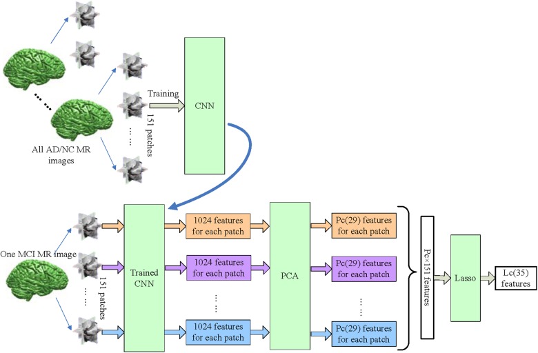 FIGURE 5