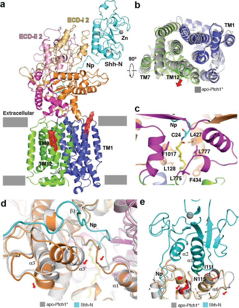 Fig. 3