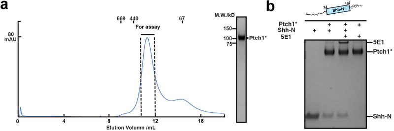 Extended Data Fig. 8