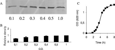 FIG. 7.