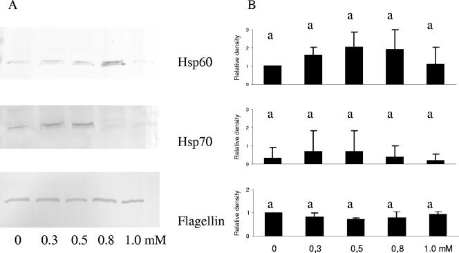 FIG. 5.