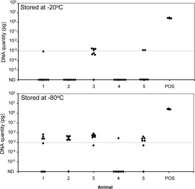 FIG 2