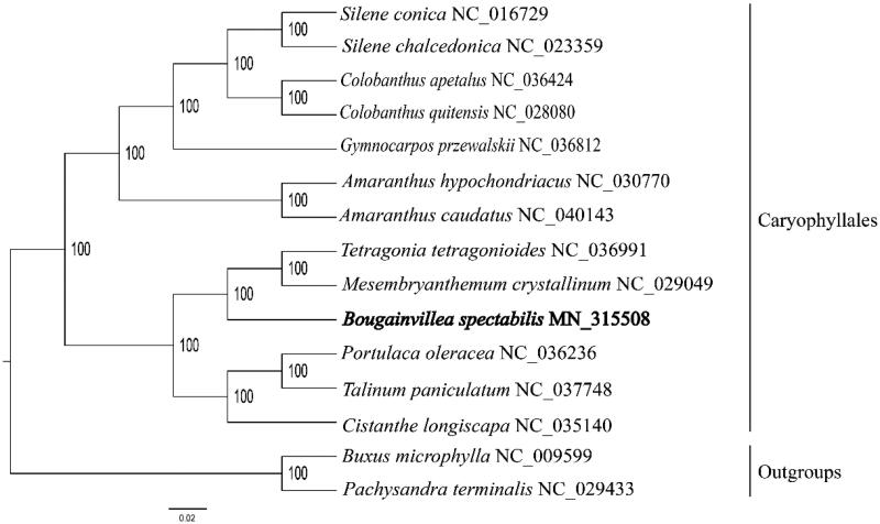 Figure 1.