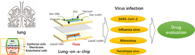 Image, graphical abstract