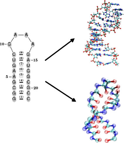 FIGURE 1