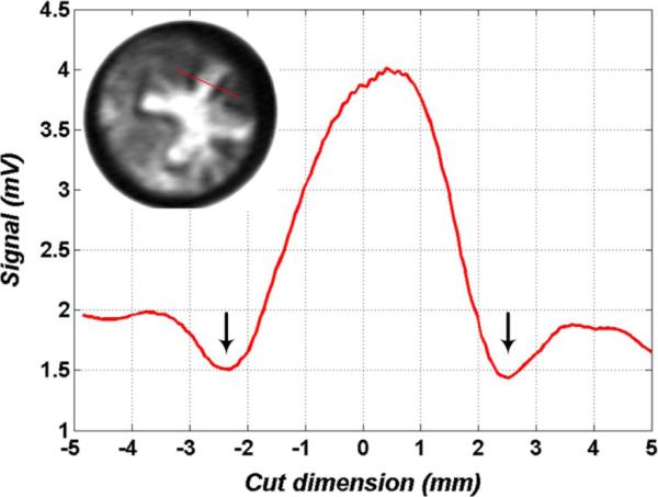 Fig. 16