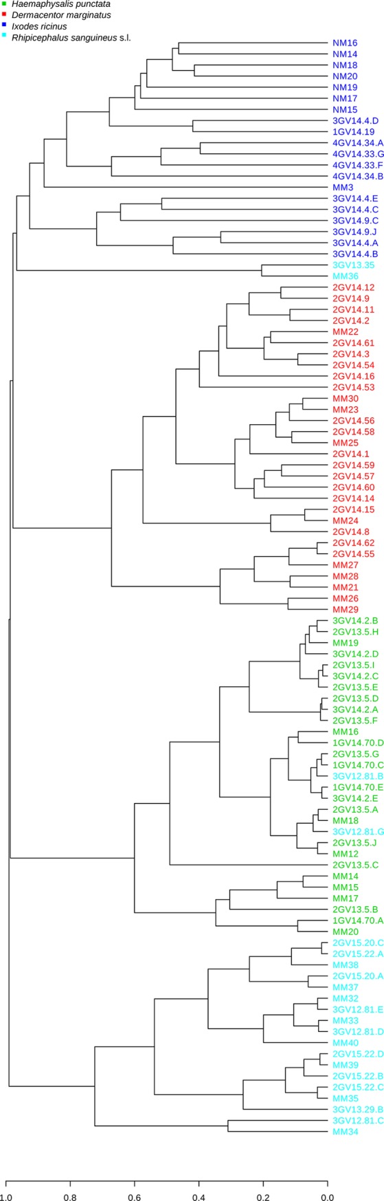 Fig 5