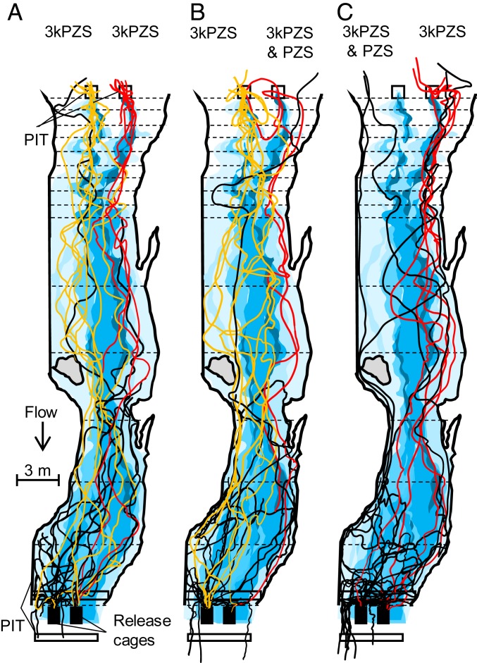 Fig. 3.