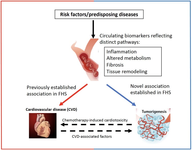 Graphical Abstract