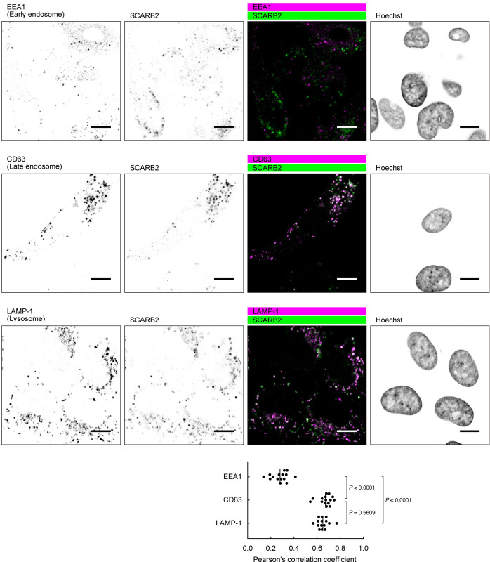 Fig 7