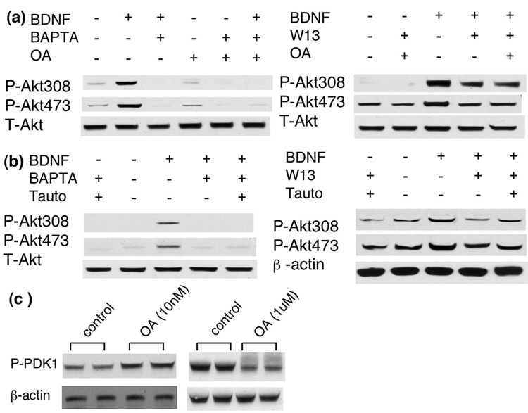 Fig. 10