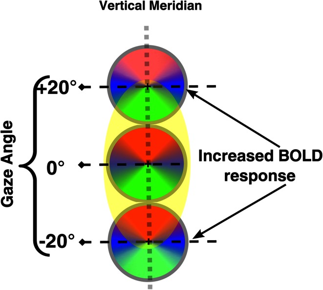 Fig. 7