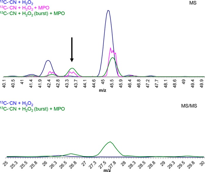 Figure 3.