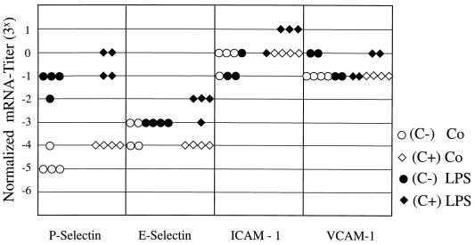 FIG. 6