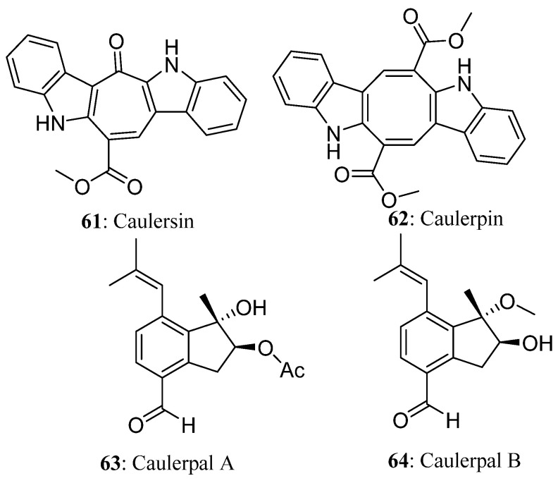 Figure 12