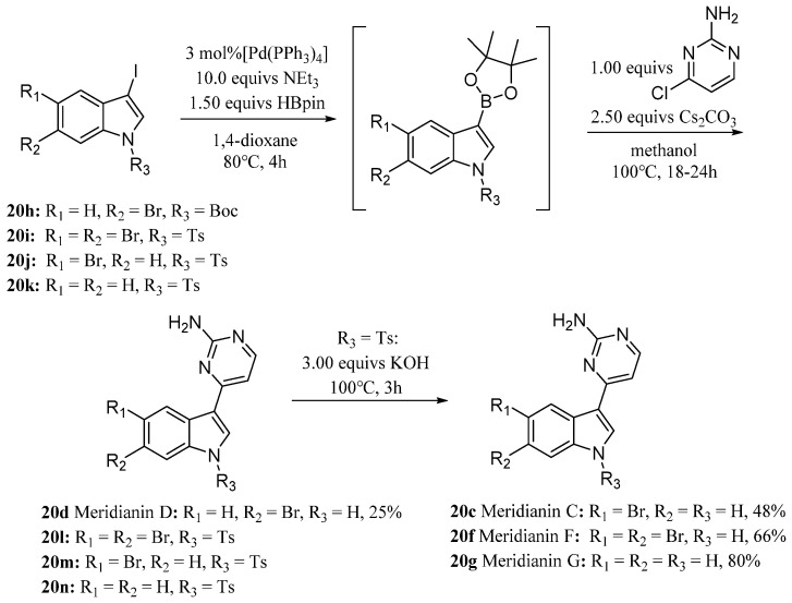 Scheme 2