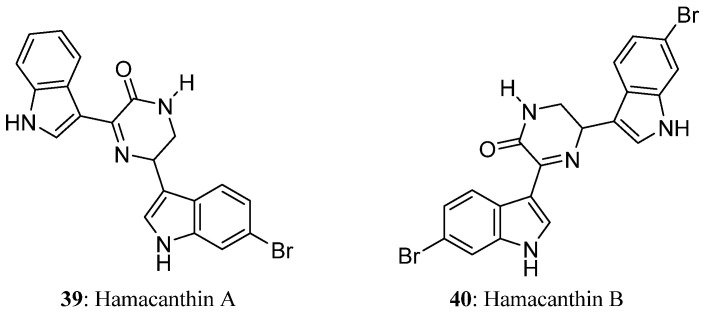 Figure 8