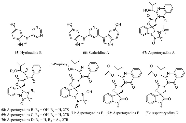 Figure 13