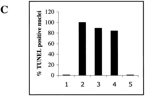 FIG. 9.